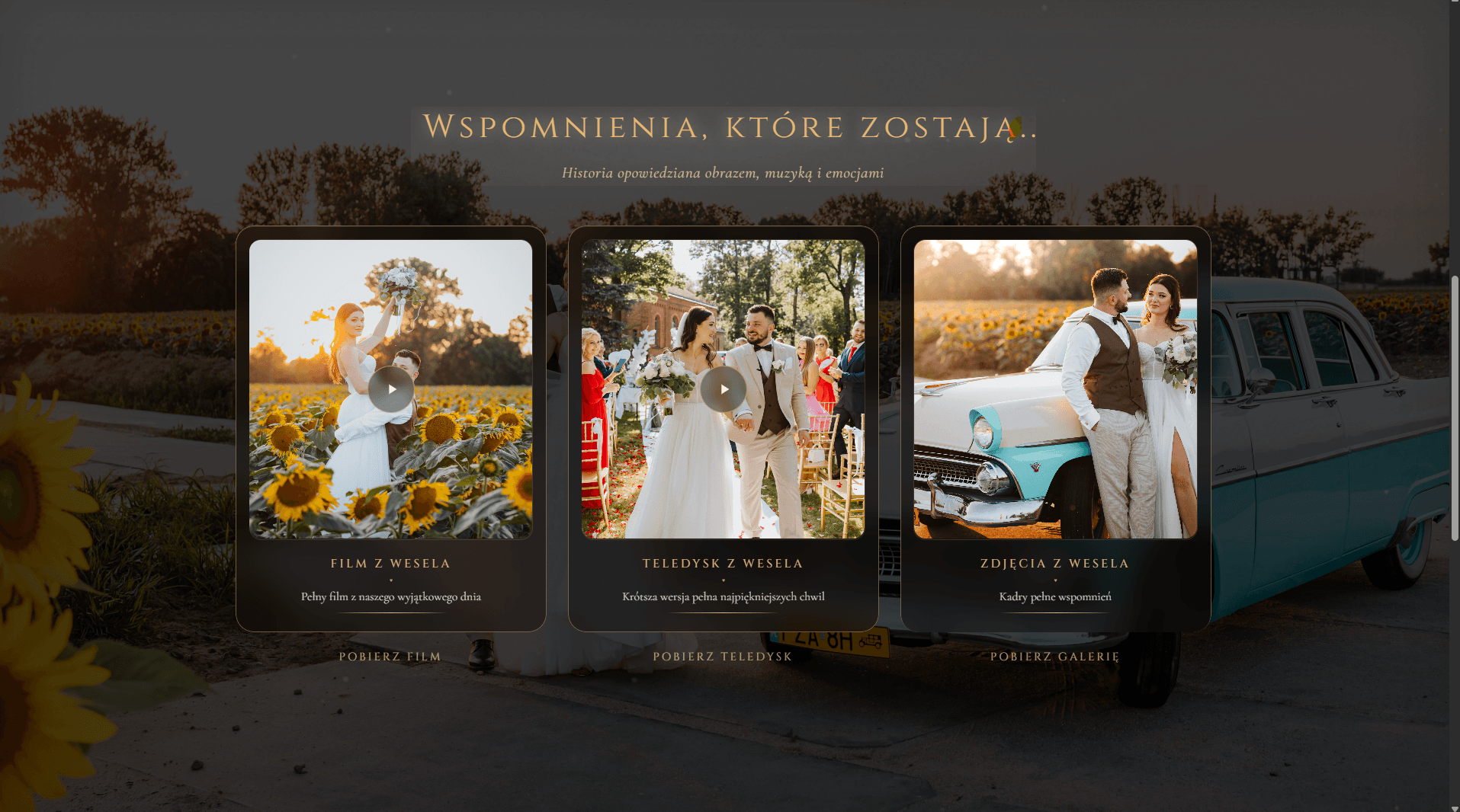 Iga & Kamil — Karty z filmem, teledyskiem i zdjęciami